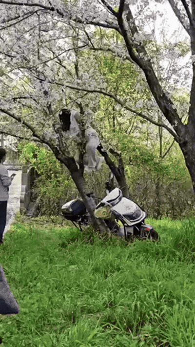 困的时候不睡觉于2026-04-08 11:33发布的图片