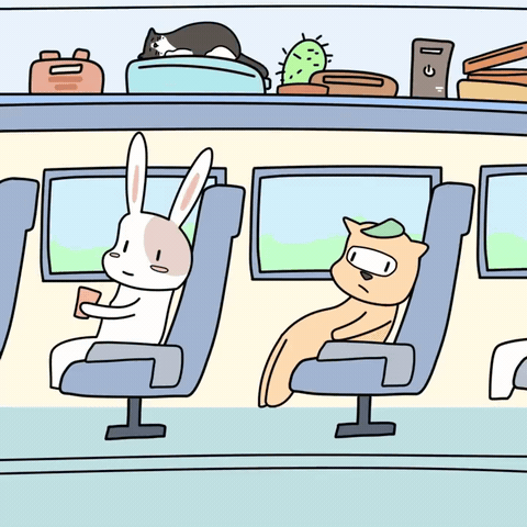 小桃_于2026-03-19 09:08发布的图片